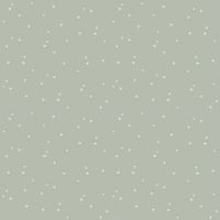 dsStella-D3855 LICHEN